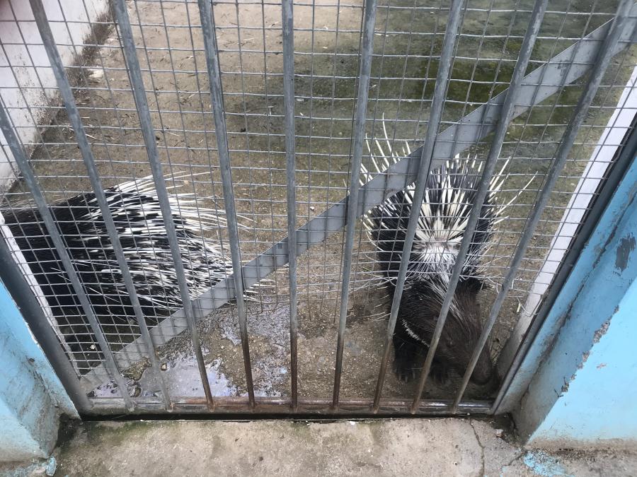 天鵝湖風(fēng)景區(qū)（泰山）速覽！(圖10)