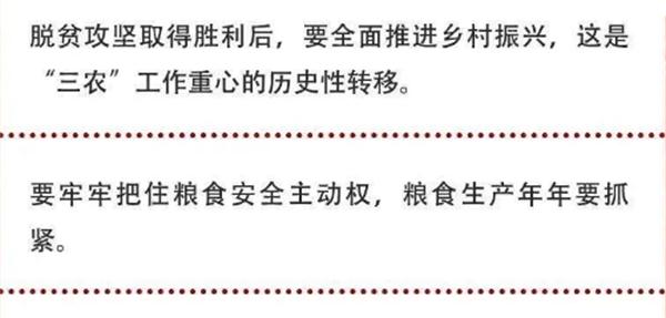 2020年中央農(nóng)村工作會(huì)議精神速覽！(圖2)
