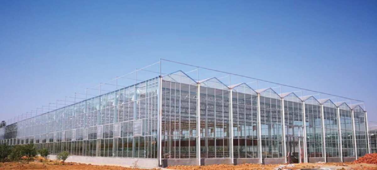 信橋鋼構(gòu)：打卡蒙陰農(nóng)業(yè)溫室大棚、青州黑牛養(yǎng)殖基地！(圖2)